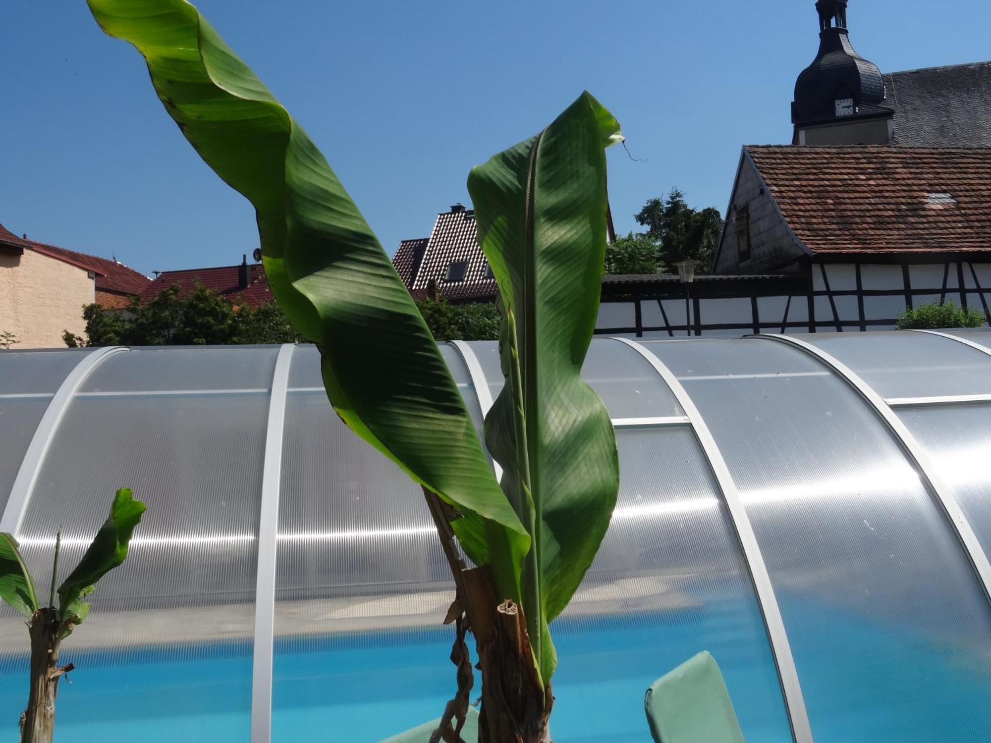 Pension Und Gaestehaus Paffrath Grossbrembach 외부 사진
